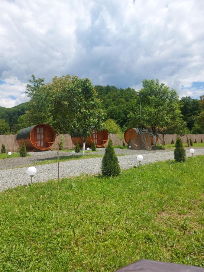 Casa Hoban Apartment Baia Mare Bagian luar foto