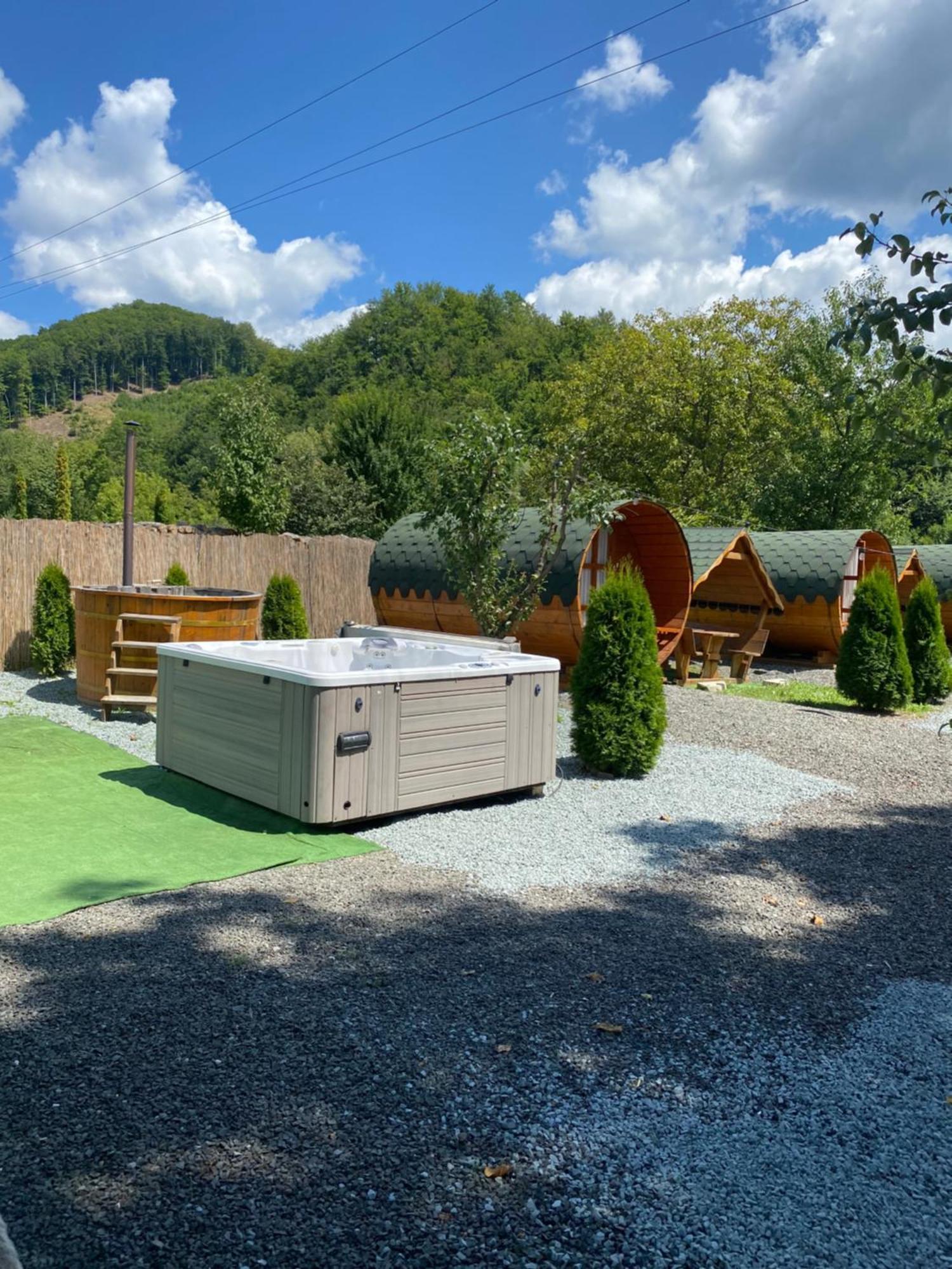 Casa Hoban Apartment Baia Mare Bagian luar foto